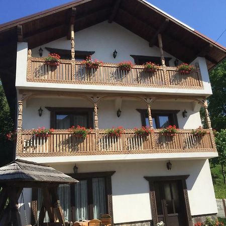 Pensiunea Rustic Borşa Exterior foto